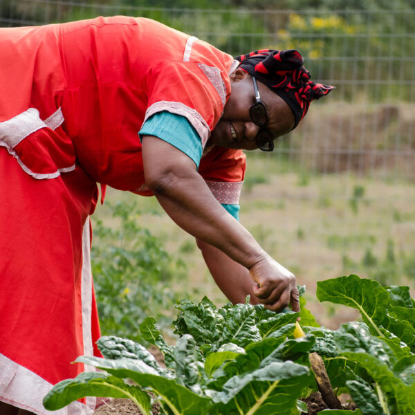 Stronger Together - Thangiwes Story - Hillcrest AIDS Centre Trust News