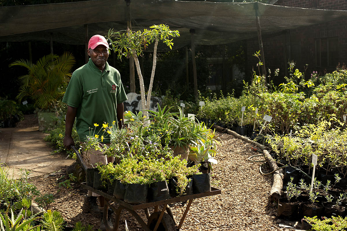 plant-nursery